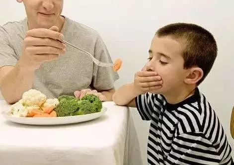 205.webp.jpg