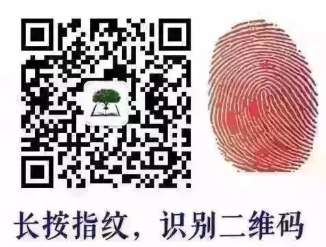 2.webp （26）.jpg